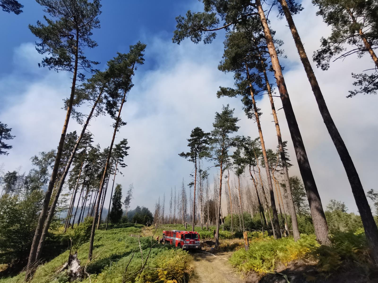 Požár lesa v NP České Švýcarsko