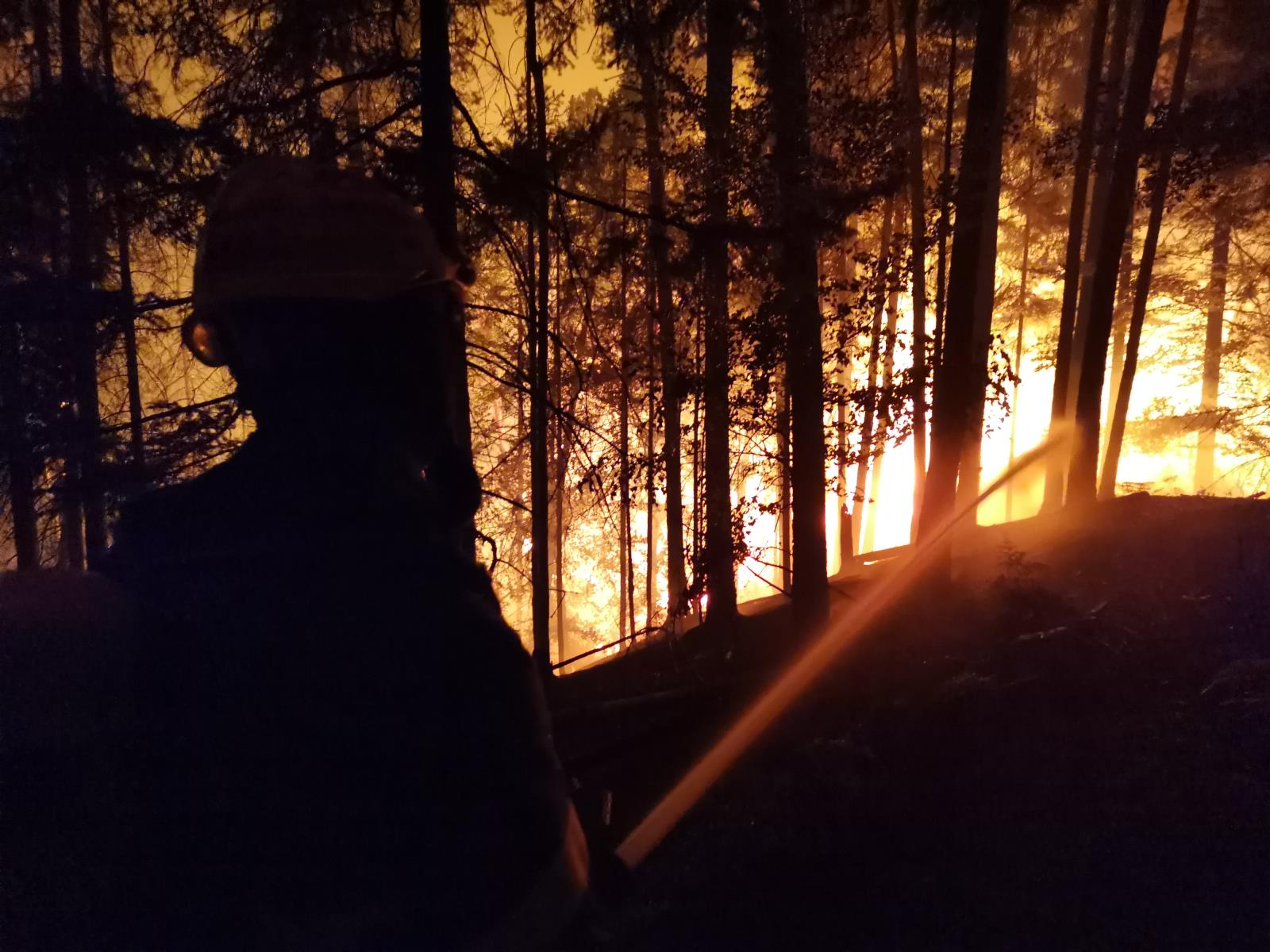 Požár lesa v NP České Švýcarsko