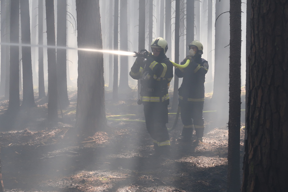 Požár lesa, Brandlín - 8. 4. 2020 (8).JPG
