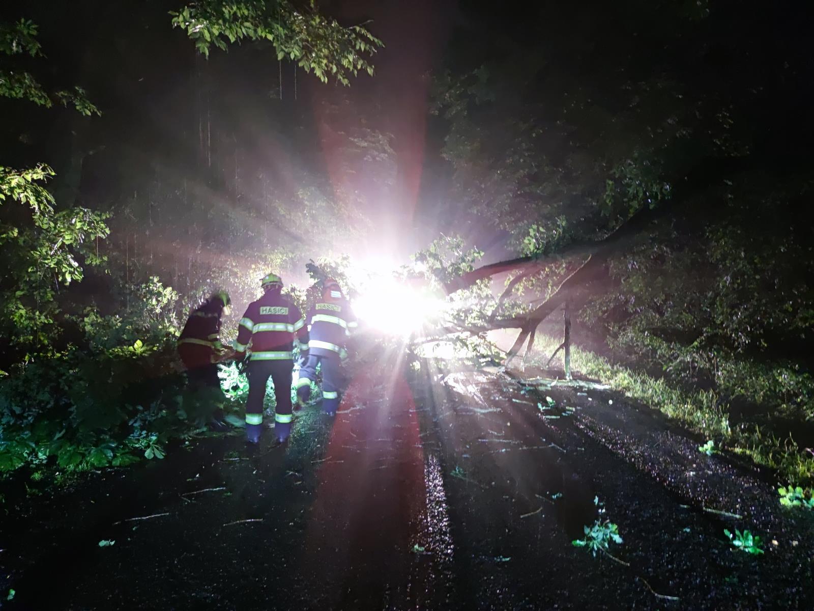 Během ledna hasiči v Pardubickém kraji likvidovali několik stovek událostí v souvislosti se silným větrem.