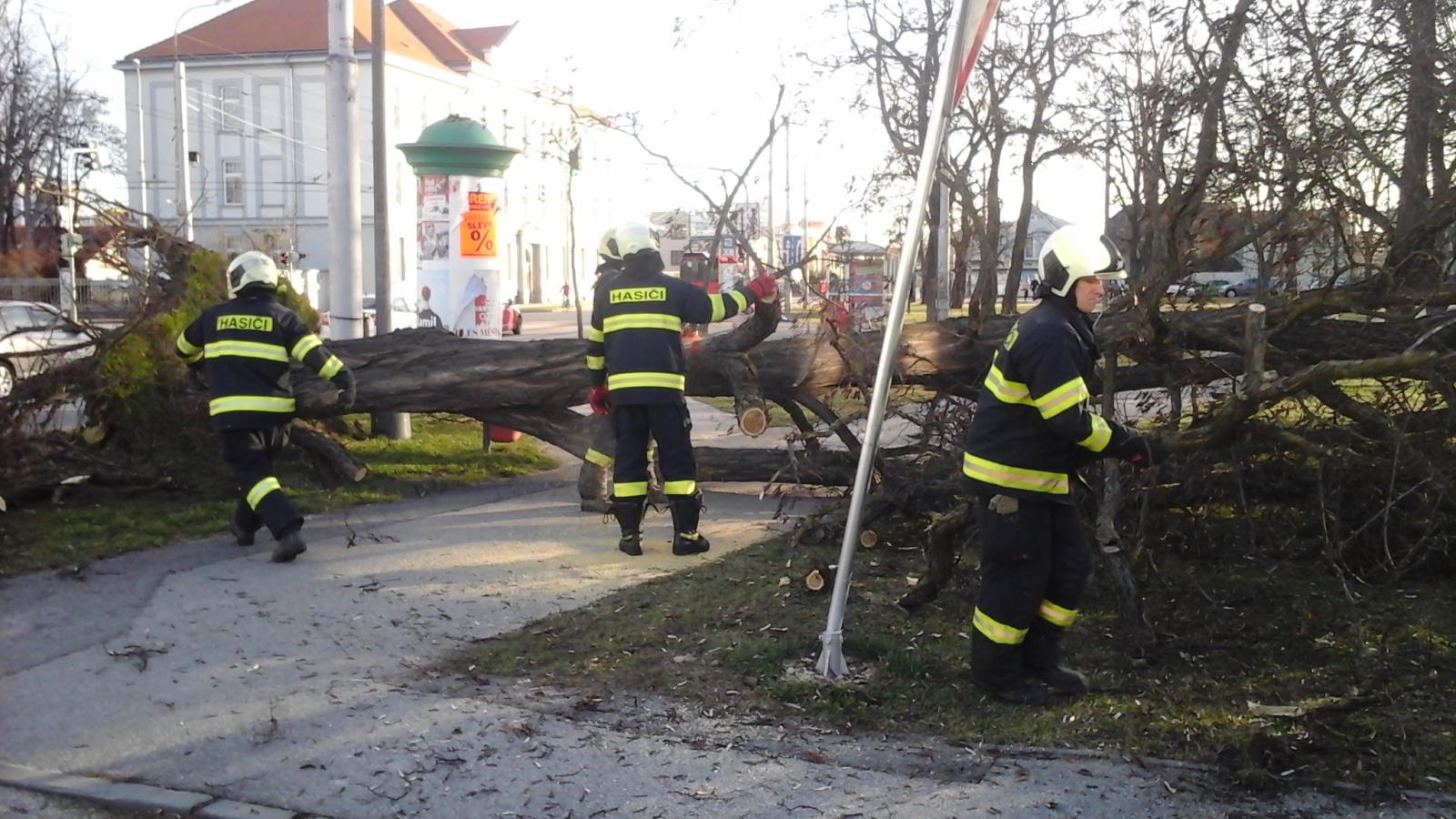 Stromy, České Budějovice - 11. 3. 2019 (1).jpg