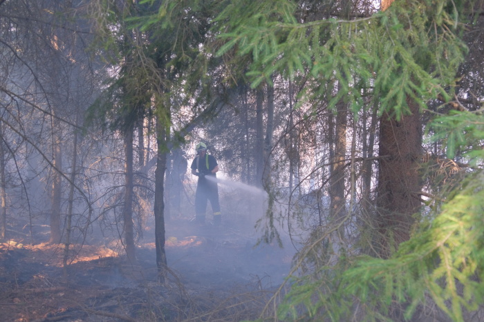 Požár lesa u Skřipova_2.jpg