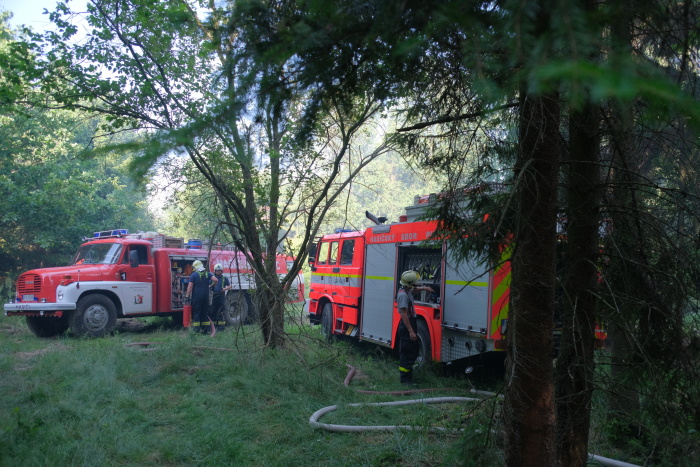 Požár lesa u Skřipova_3.jpg