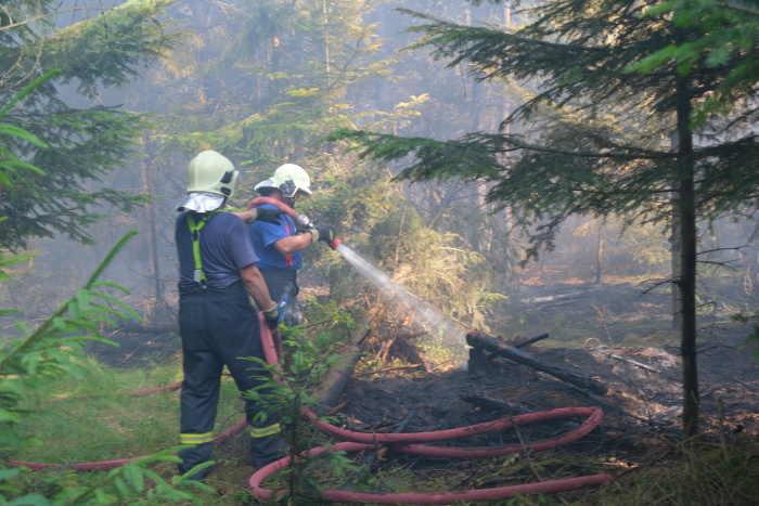 Požár lesa u Skřipova_8.jpg