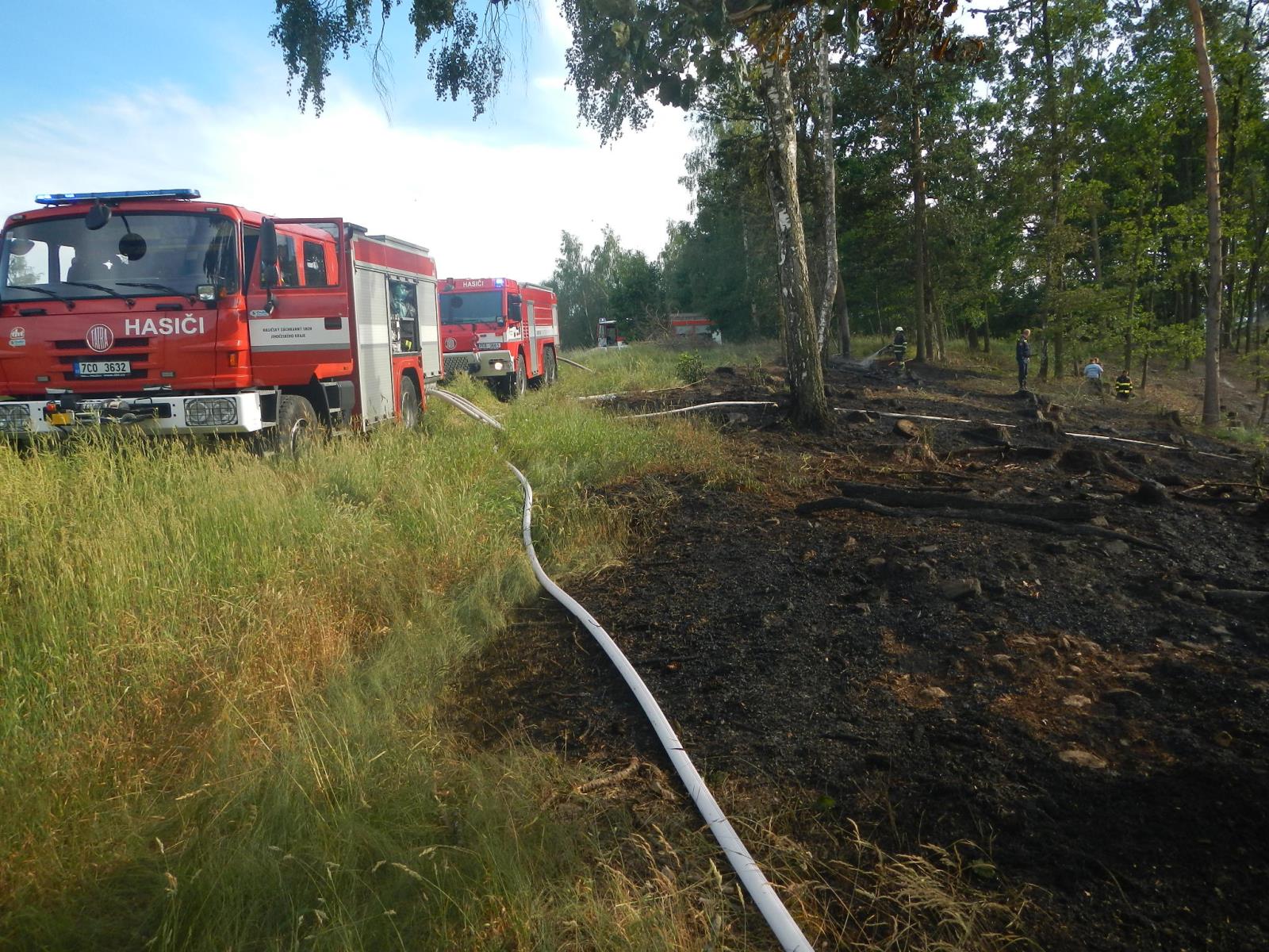 Požár lesa, Kamenný Malíkov - 3. 7. 2019 (1).JPG