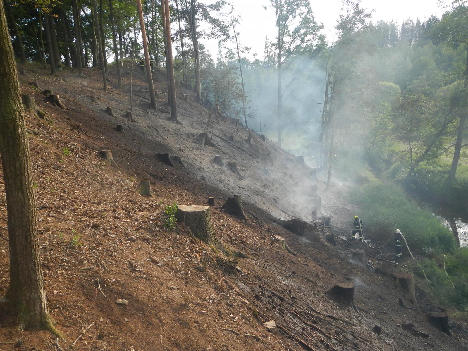 Požár lesa, Kamenný Malíkov - 3. 7. 2019 (4).JPG