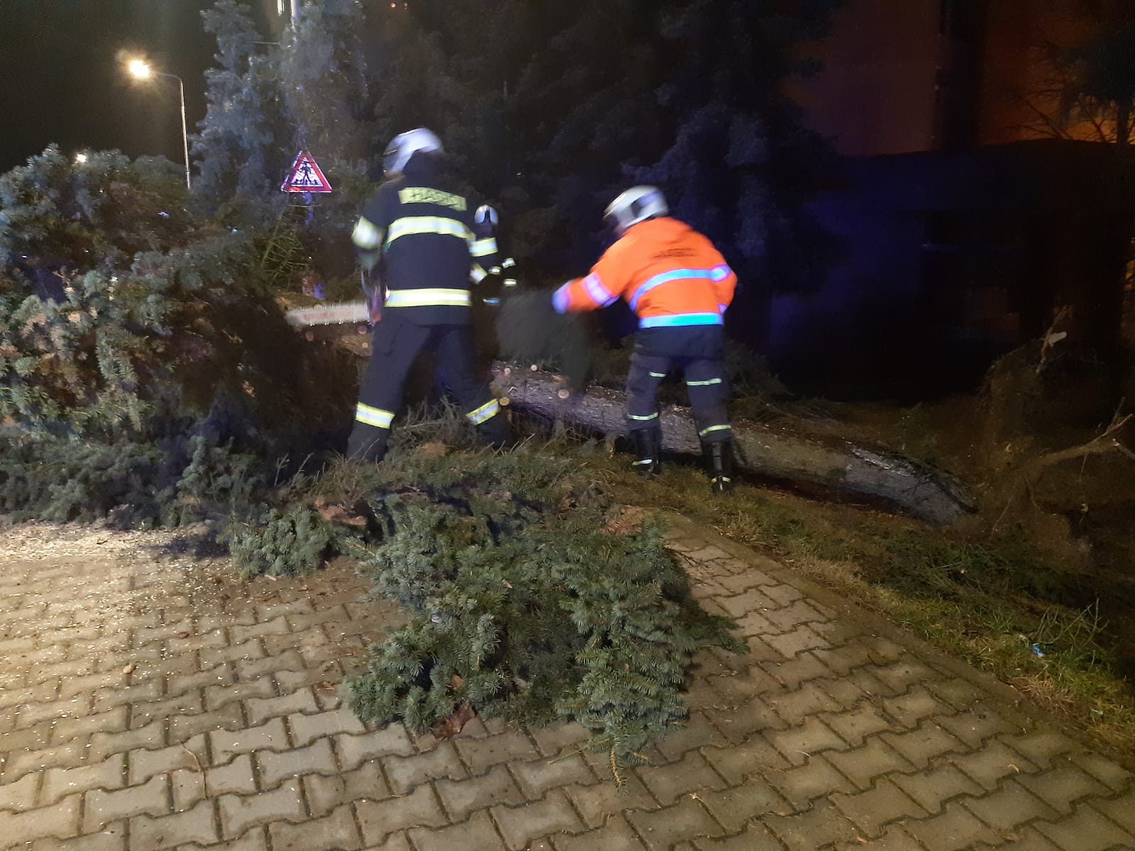 Spadané stromy, Táborsko - 11. 2. 2020 (9).jpg