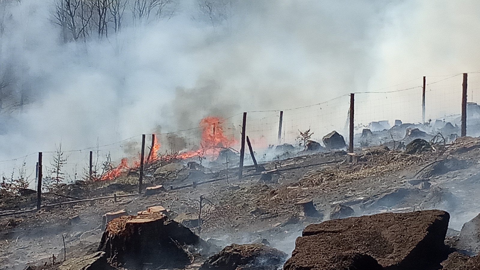Požár lesního porostu Hoštice (2).jpg