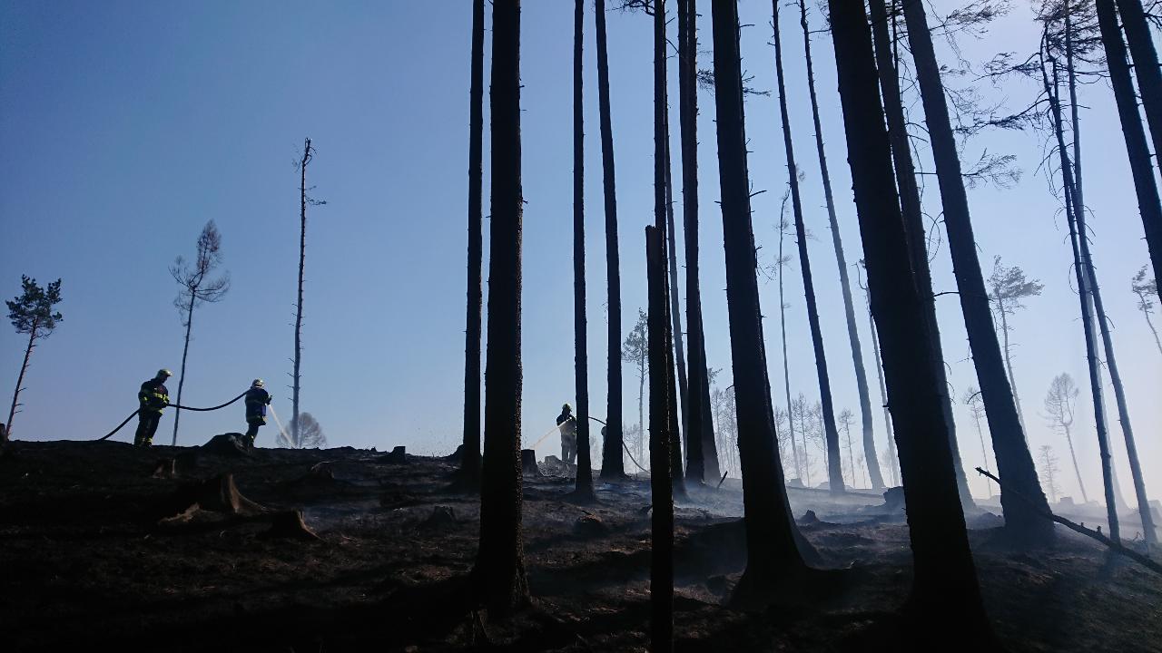 Požár lesa, Cizkrajov -  6. 4. 2020 (3).JPG