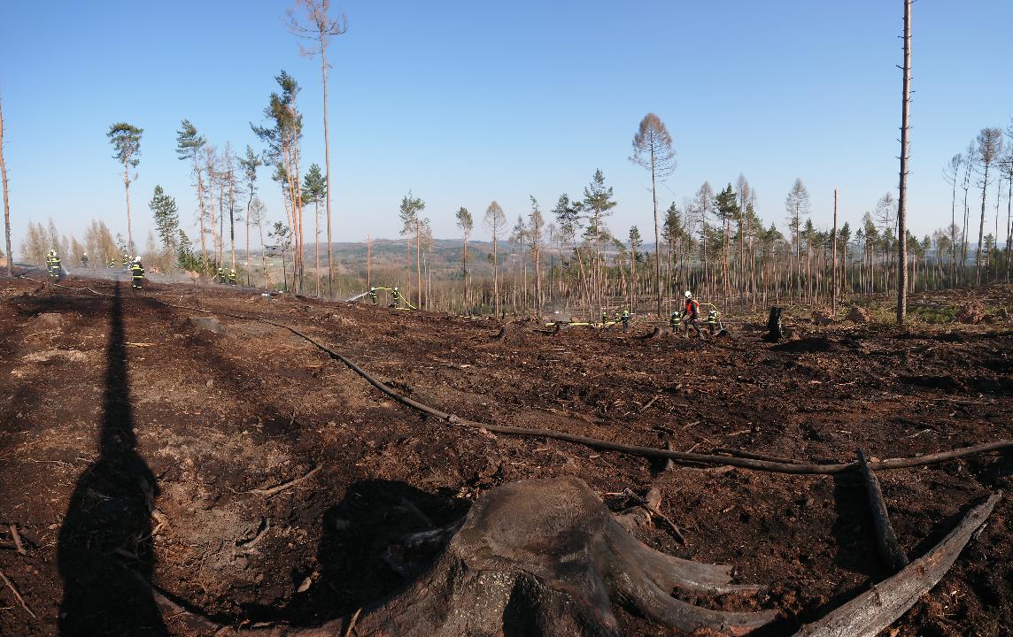 Požár lesa, Cizkrajov -  6. 4. 2020 (7).JPG