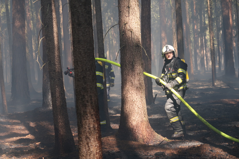 Požár lesa, Brandlín - 8. 4. 2020 (5).JPG