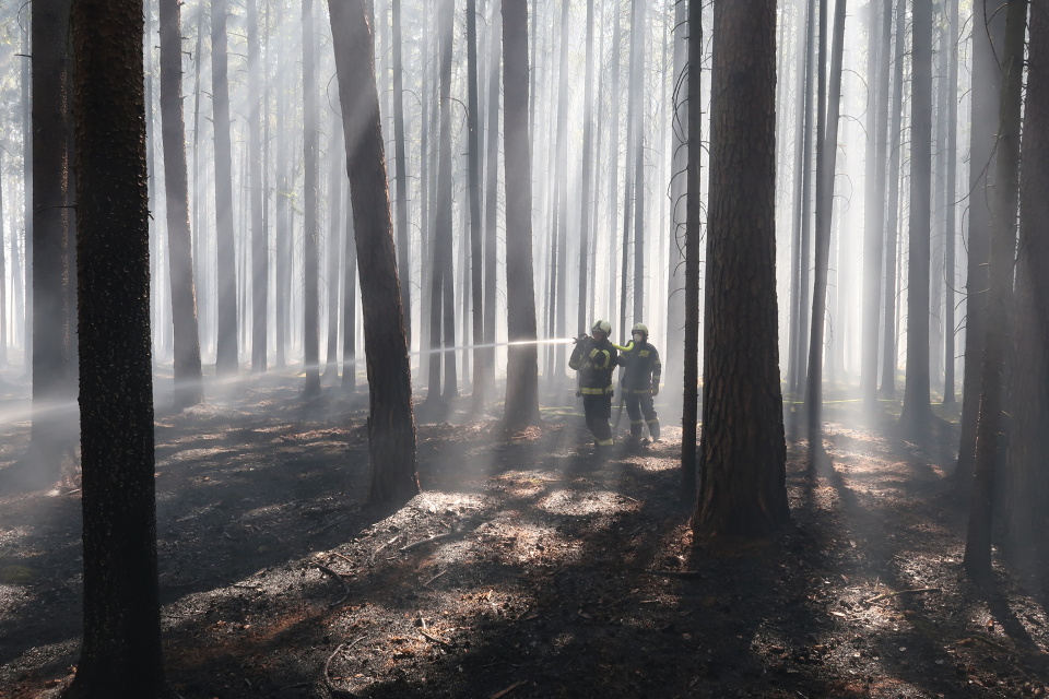 Požár lesa, Brandlín - 8. 4. 2020 (9).JPG