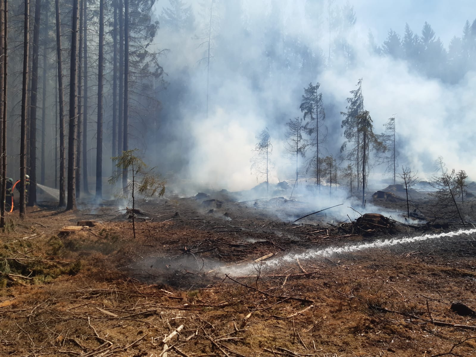 Požár lesa, Vlčeves - 7. 5. 2020 (9).jpg