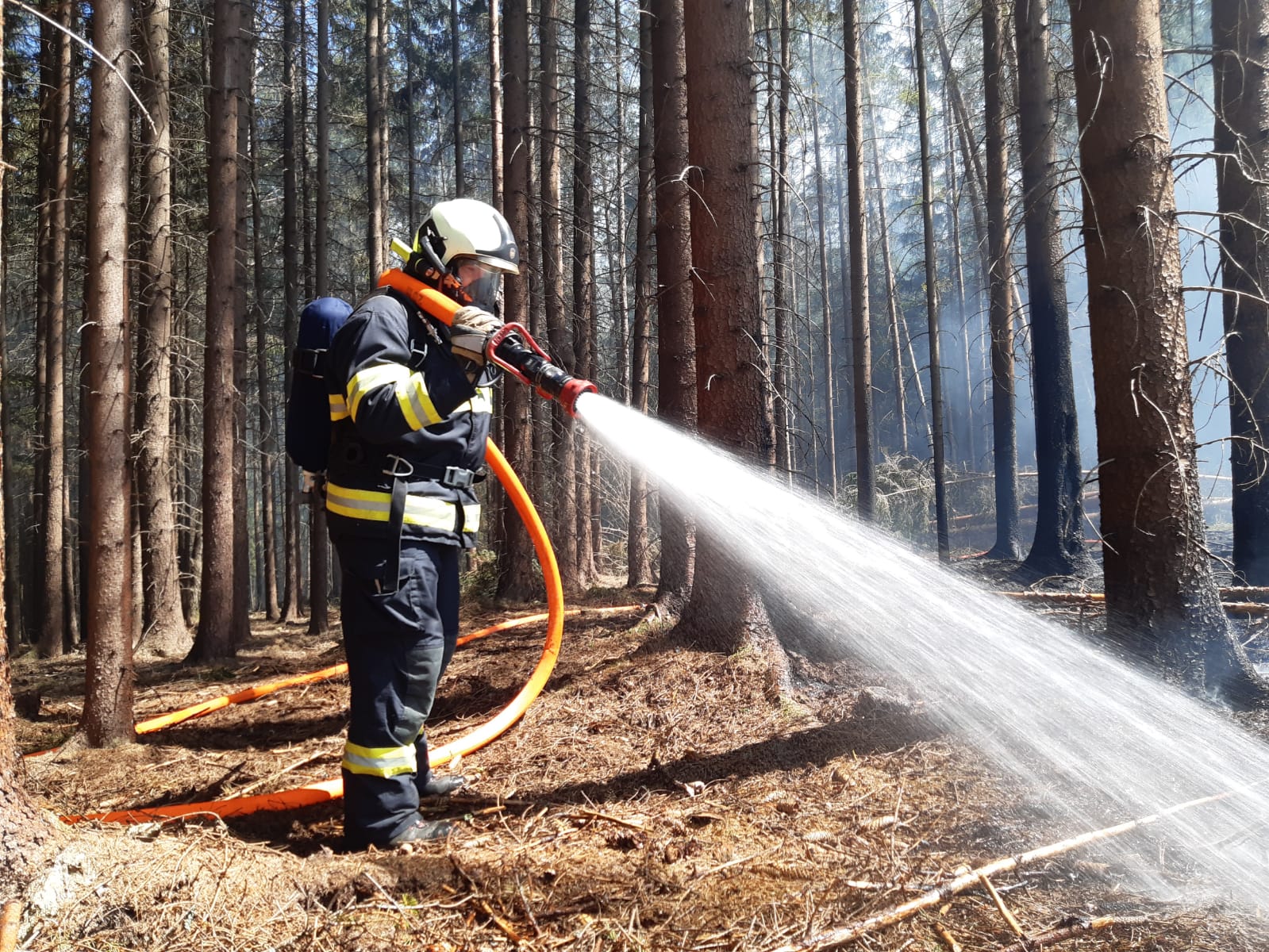 Požár lesa, Vlčeves - 7. 5. 2020 (11).jpg