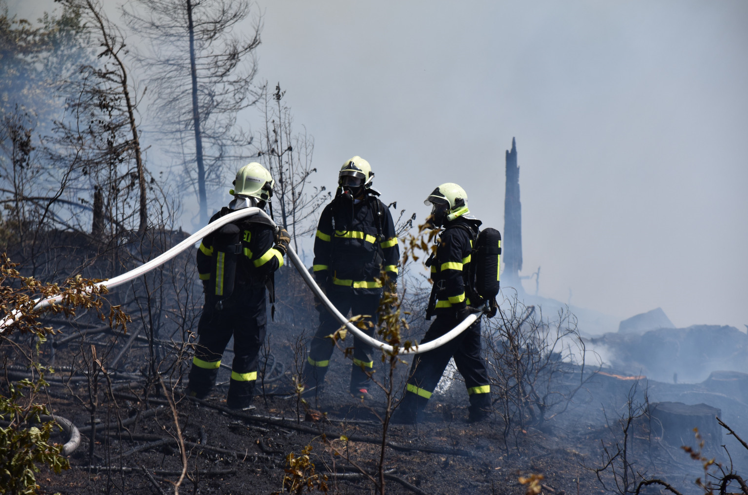 Požár lesního porostu Malá Skála(2).png