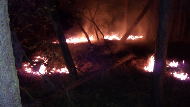 Požár trávy Račice (2).jpg
