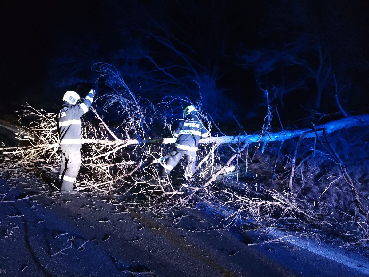 2020-12-28-vítr v JmK/2020-12-28-hasiči u spadeného stromu.jpg