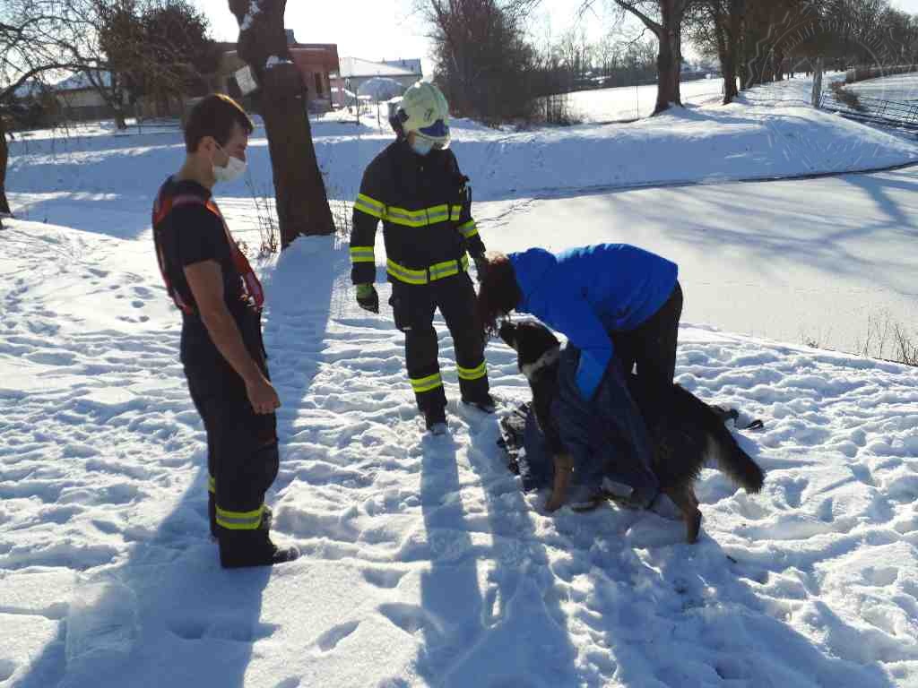 PAK_hasiči zachraňující psa, pod kterým se probořil led v řece Labi_na břehu pejska s jeho majitelkou vysušili a zahřáli.jpg