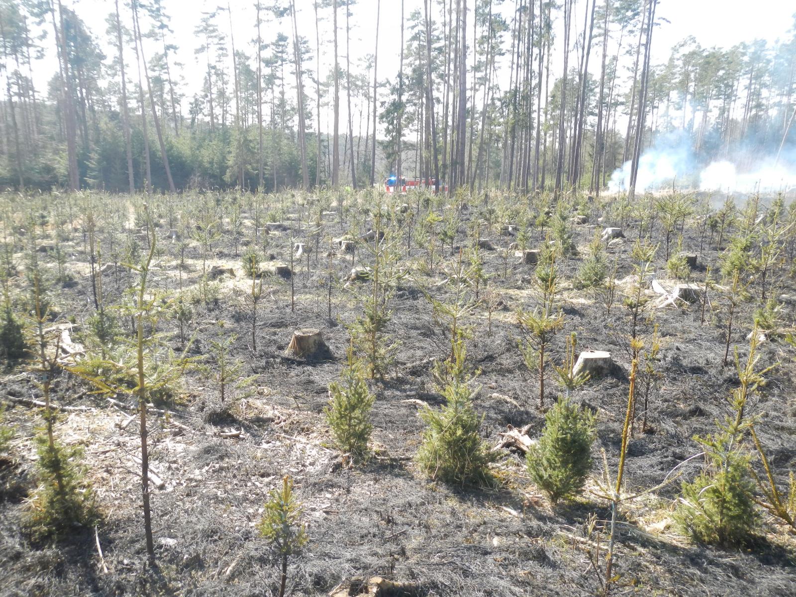 Požár lesa, Jetětice - 25. 3. 2021 (1).JPG