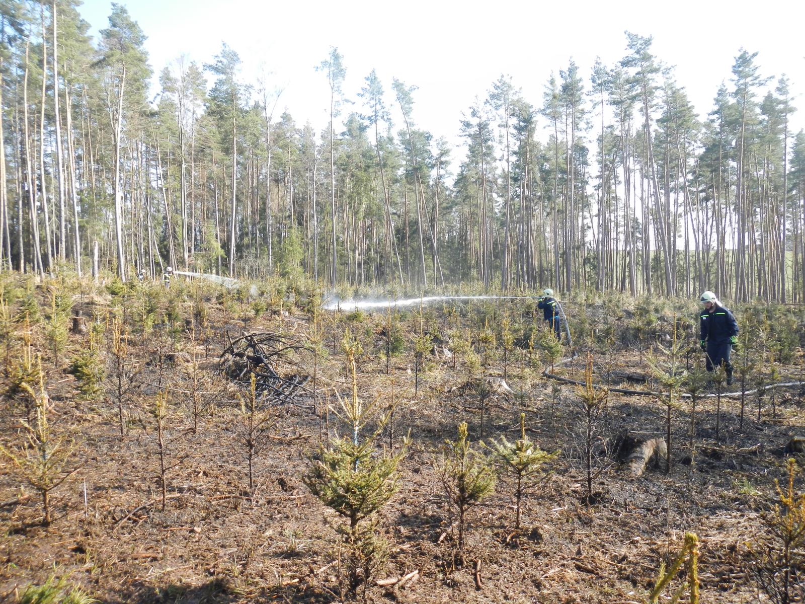 Požár lesa, Jetětice - 25. 3. 2021 (5).JPG