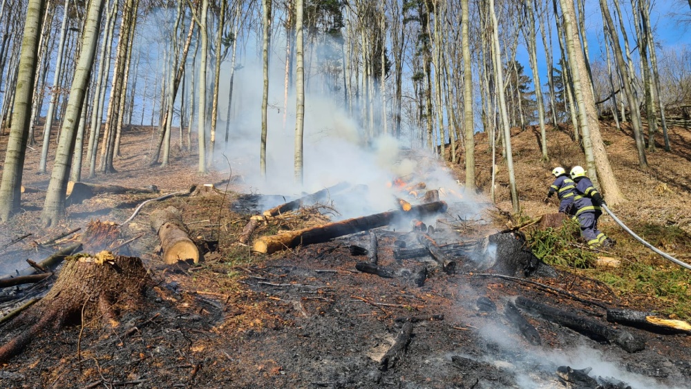 KHK_požár v lese_2 hasiči stoupají s hadicí po svahu podél hořících stromů a lesního podrostu.jpg