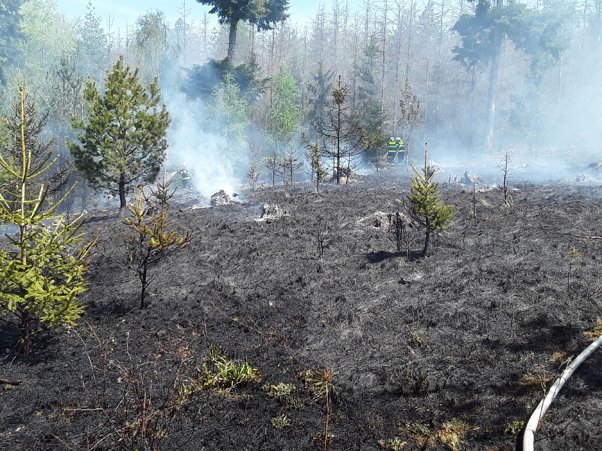 Požár lesa Příbram na Moravě (1).jpg