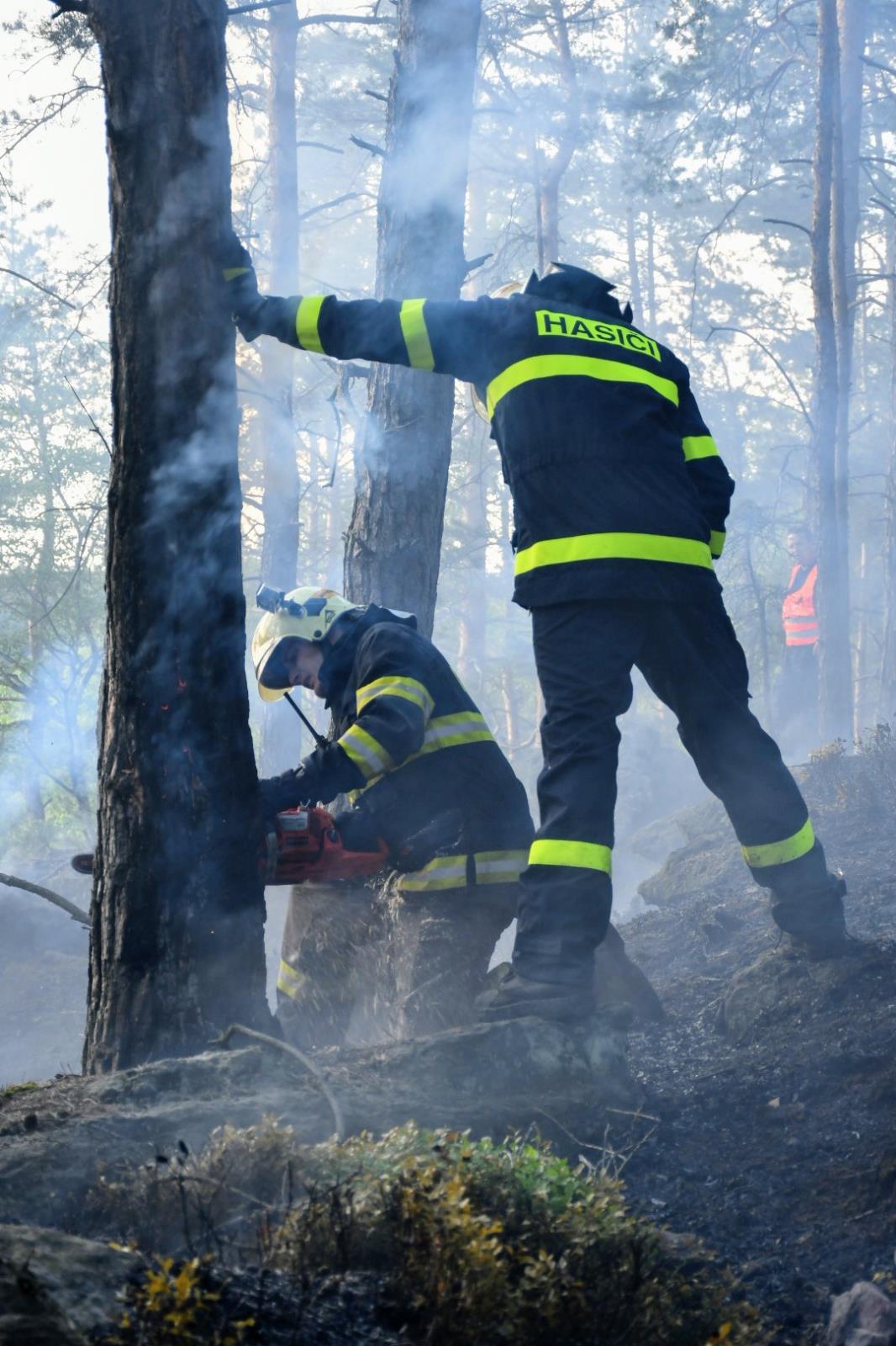 Požár lesa Děčín (6).JPG