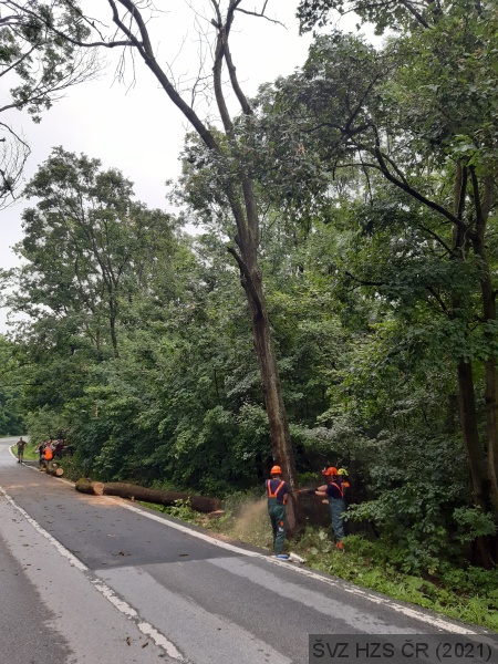 Posluchači během výcviku v reálných podmínkách pokáceli stromy ohrožující silniční provoz_.jpg