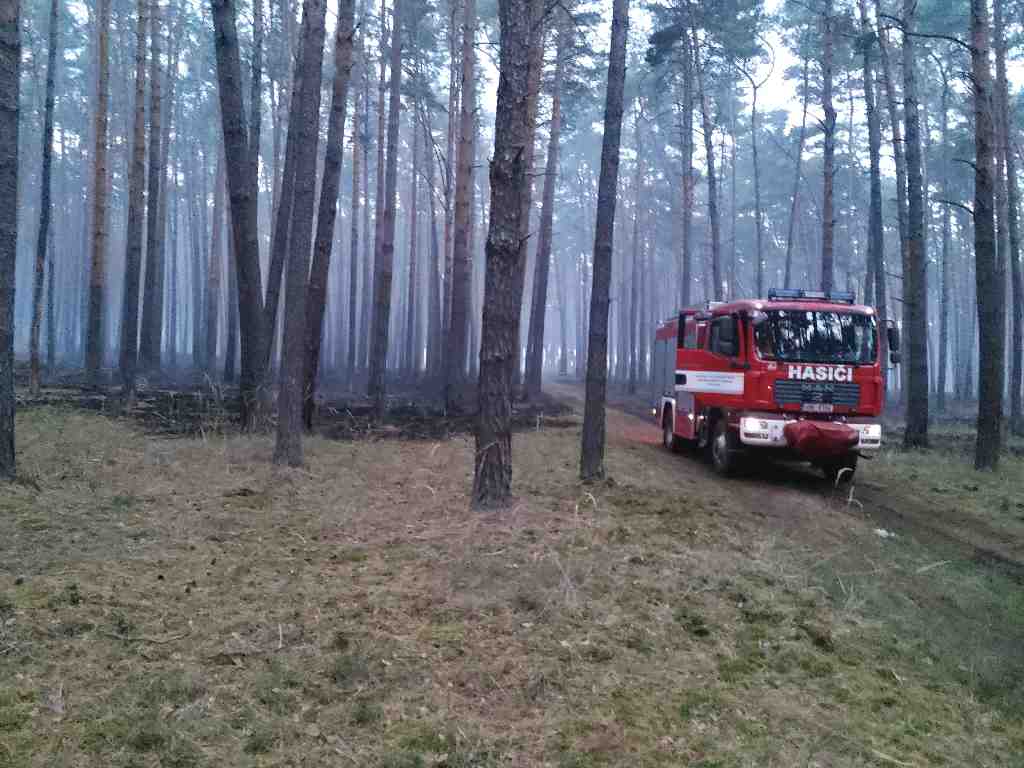 Požár lesa (13).jpg