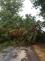049 - Silné bouřky v kraji vyvracely převážně stromy, které popadaly na pozemní komunikace