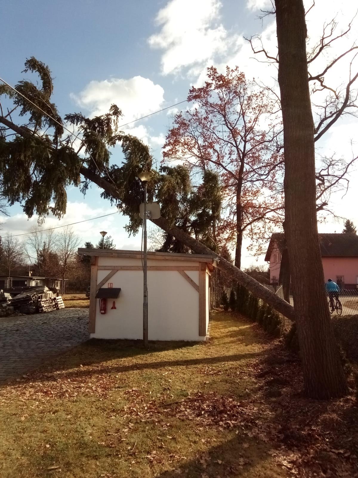 Strom spadlý na domek, České Budějovice - 30. 1. 2022 (2).jpg