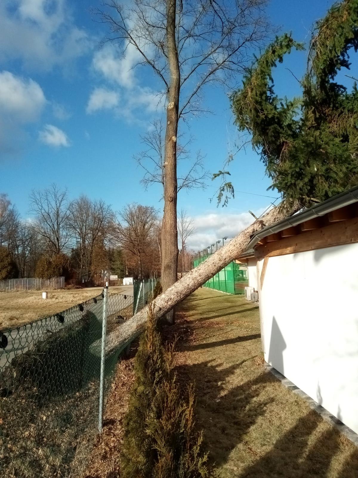 Strom spadlý na domek, České Budějovice - 30. 1. 2022 (3).jpg