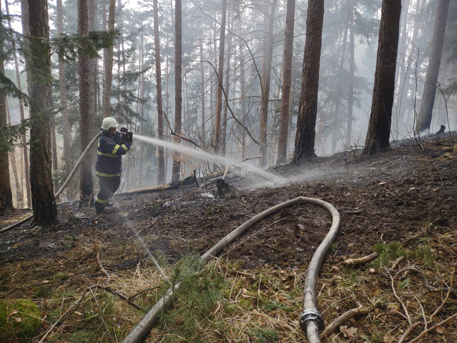 Požár lesa, Kroclov - 29. 3. 2022 (4).jpg