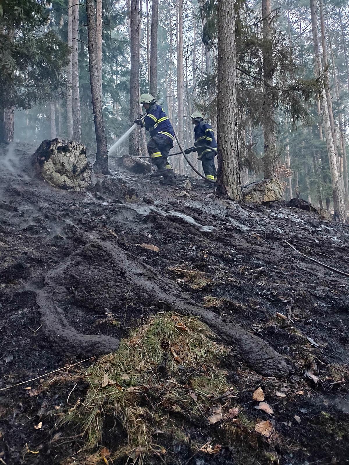 Požár lesa, Kroclov - 29. 3. 2022 (6).jpg