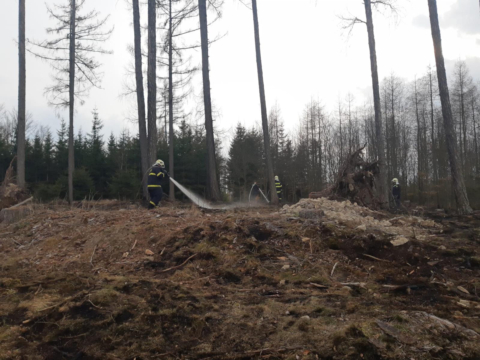 Požár lesa, Cizkrajov - 29. 3. 2022 (5).jpg