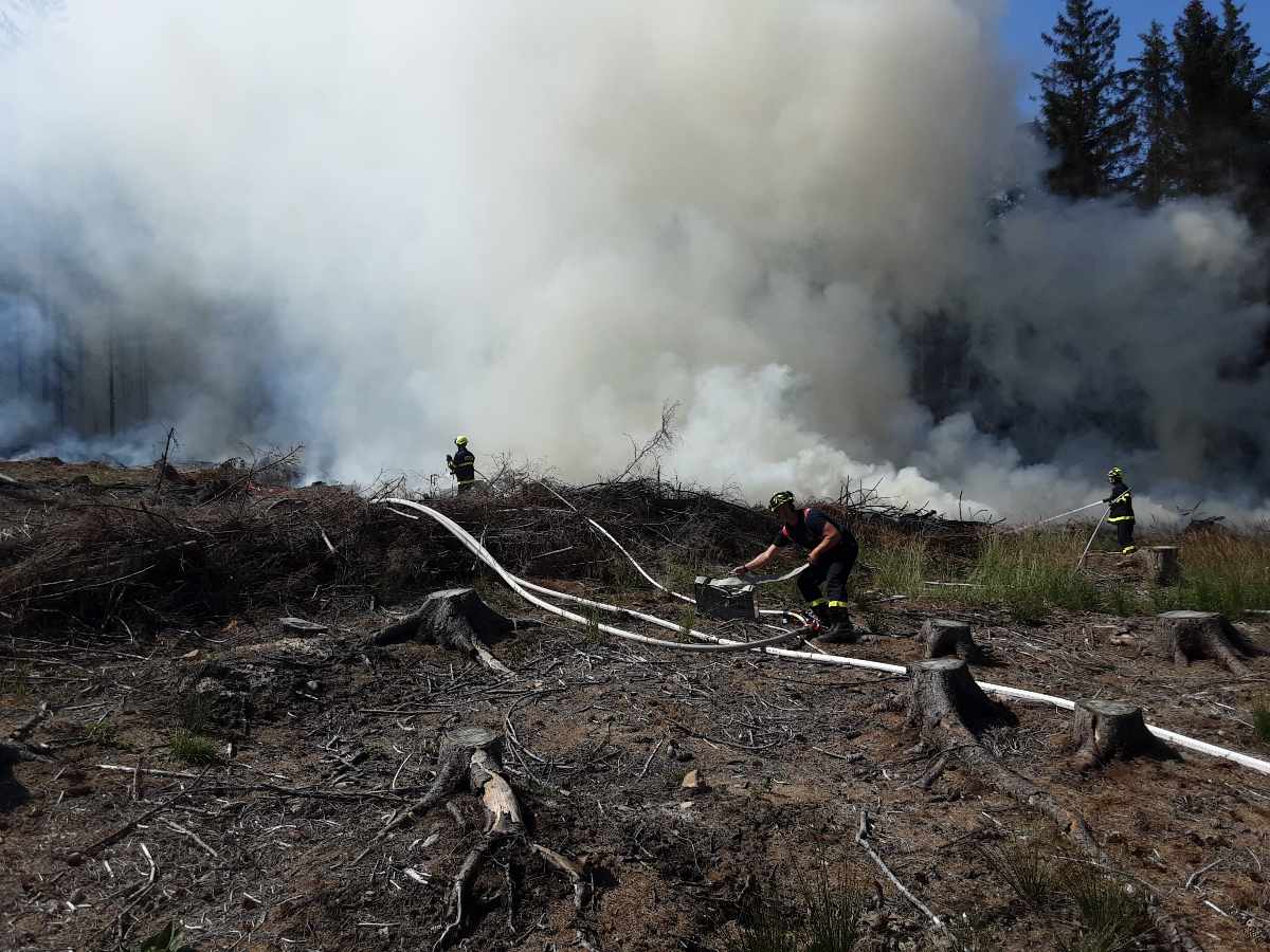 Požár lesa Děčín Bynov (2).jpg