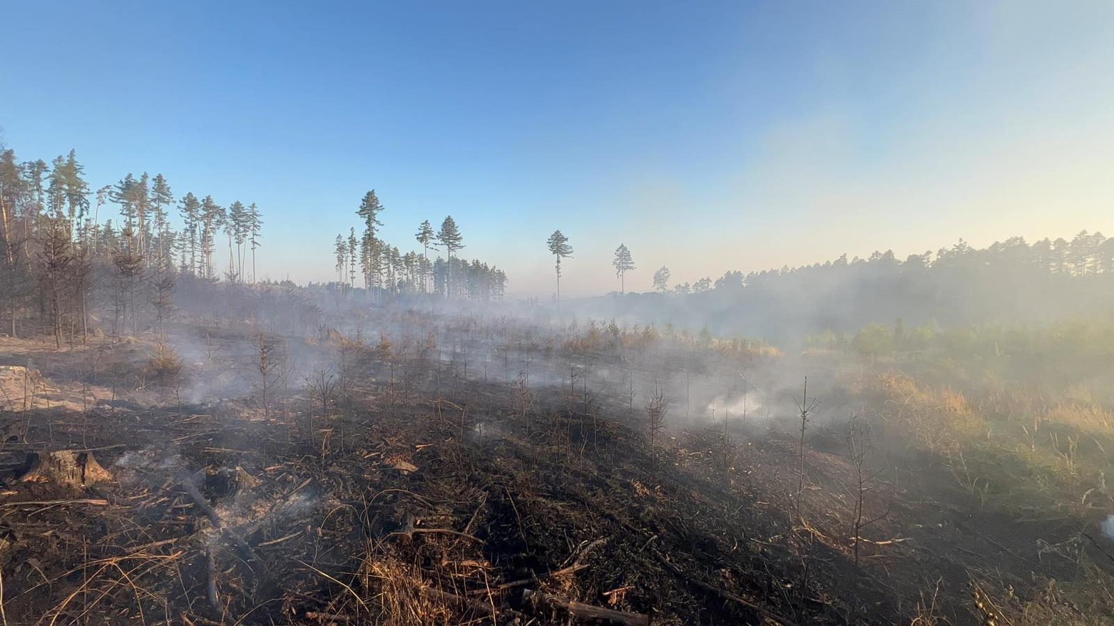 rozsáhlý lesní požár - Libavá - Kozlov