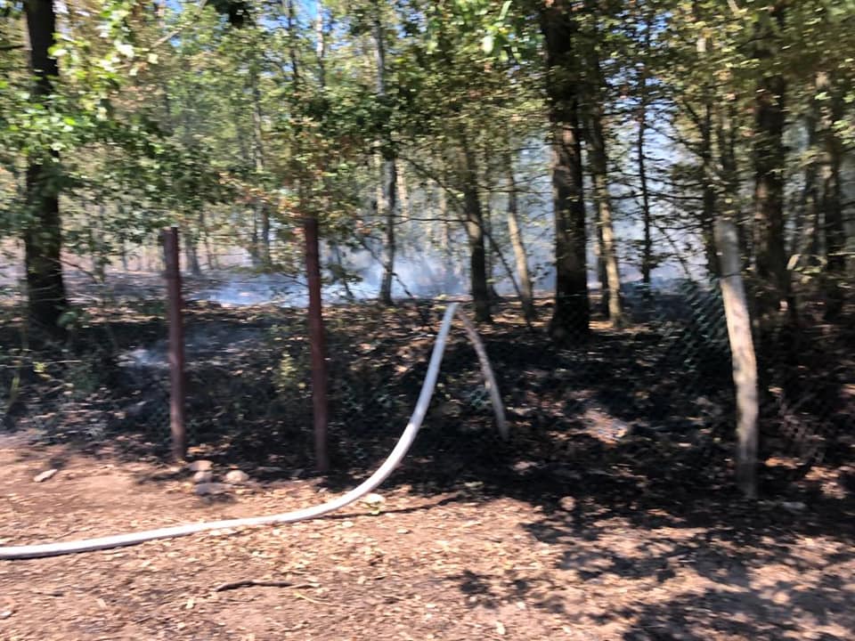 Požár lesa Krupka  (1).jpg
