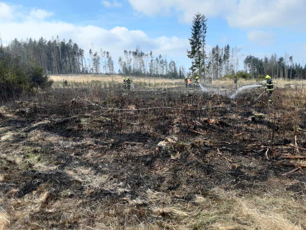 Tři jednotky hasičů likvidovaly požár v lese u Žirovnice.