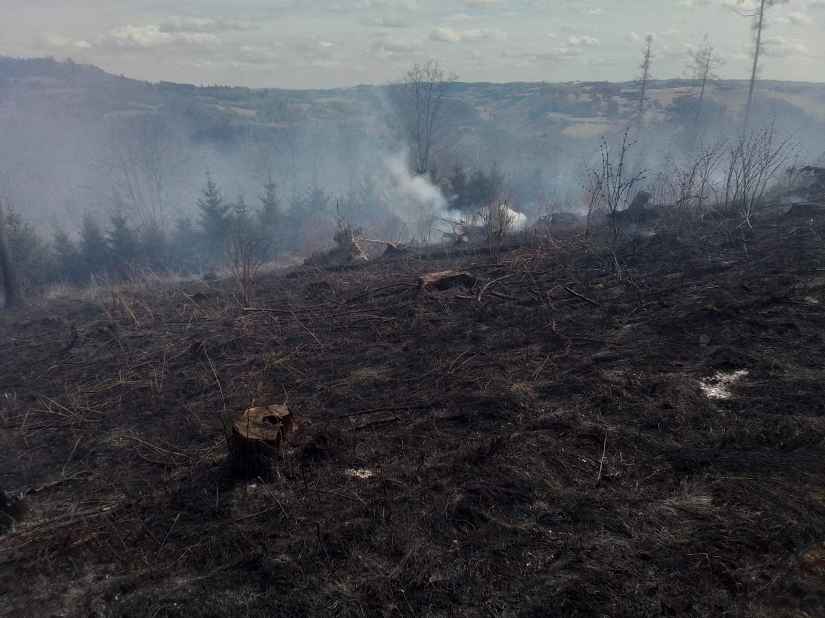 Deset jednotek hasičů likvidovalo požár v lese u obce Rovečné na Žďársku.