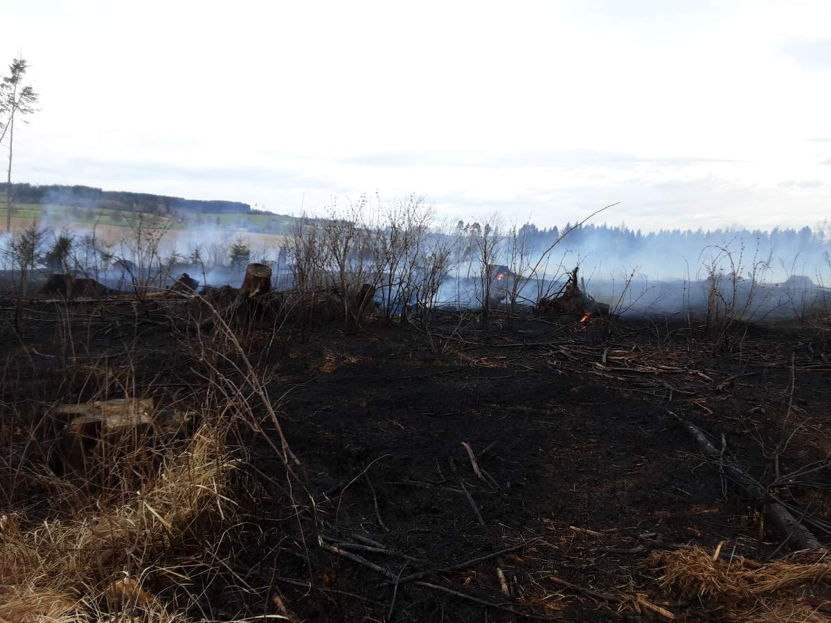 Šest jednotek hasičů likvidovalo požár v lese u Věžné.