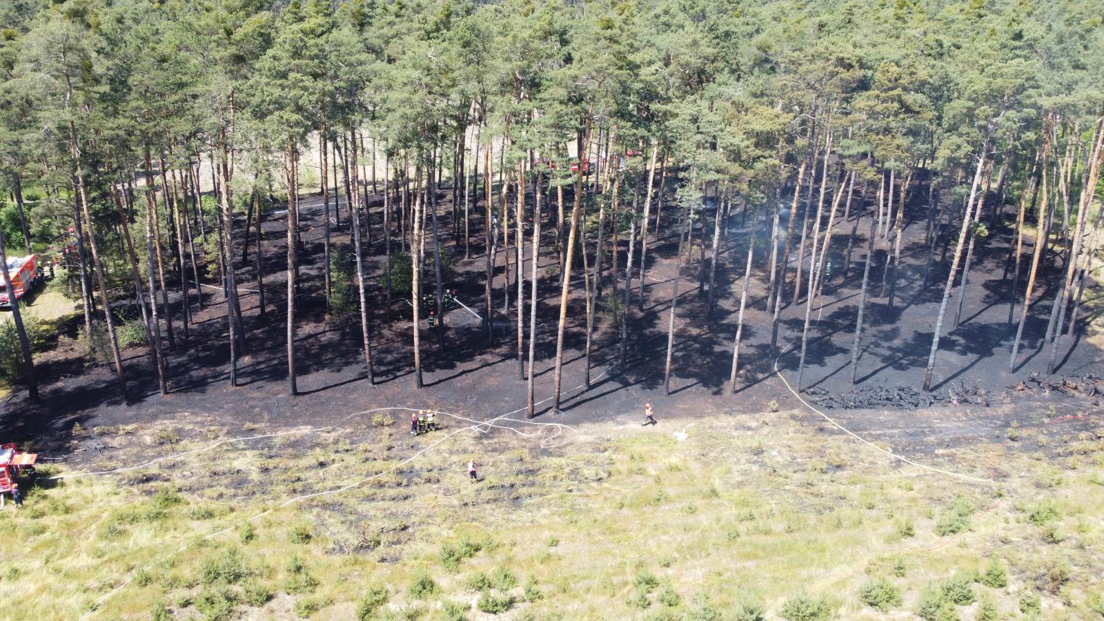 Požár lesa (3).JPG