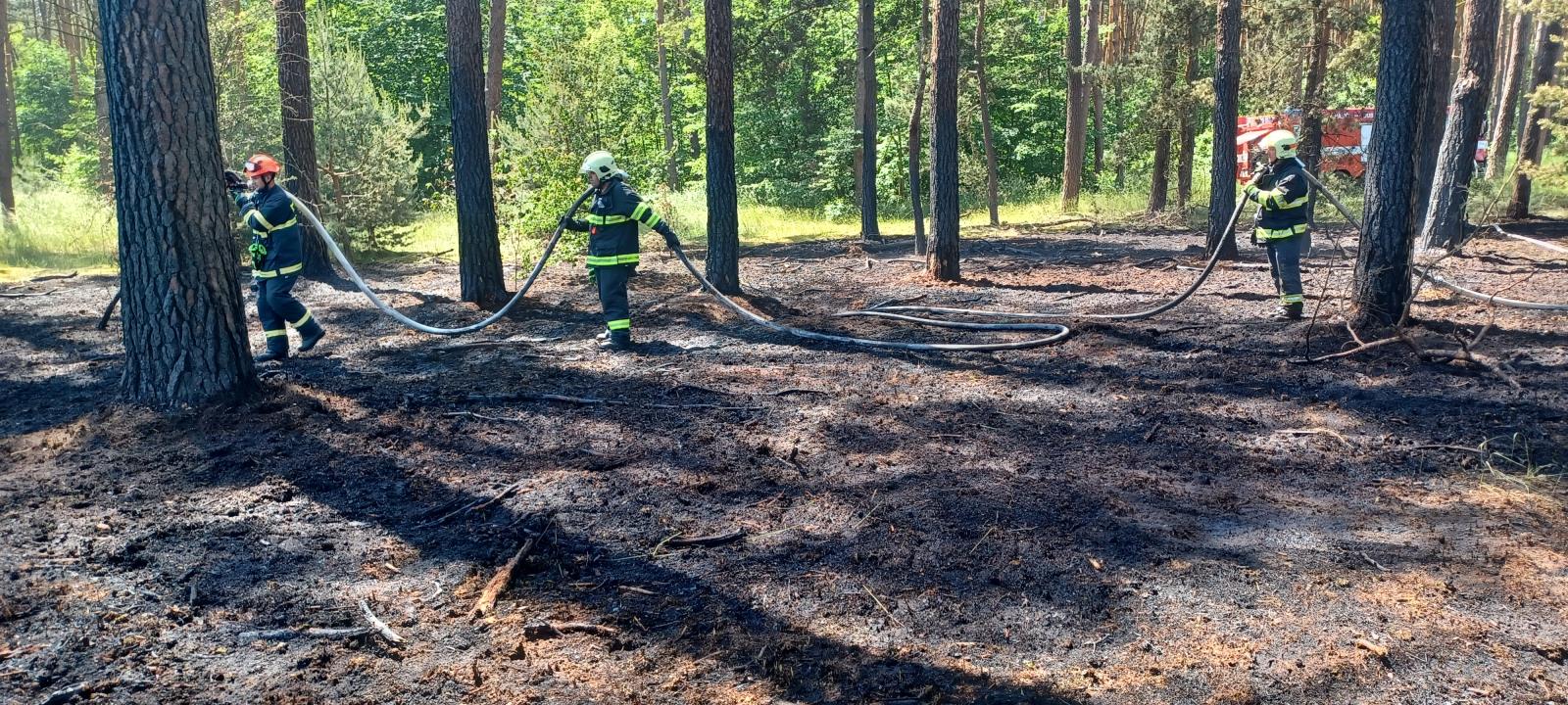 Požár lesa (11).jpg