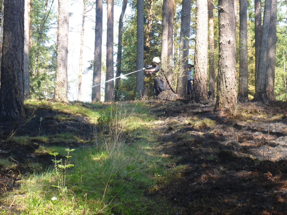Požár lesa, Kájov - 21. 4. 2018 (2).JPG