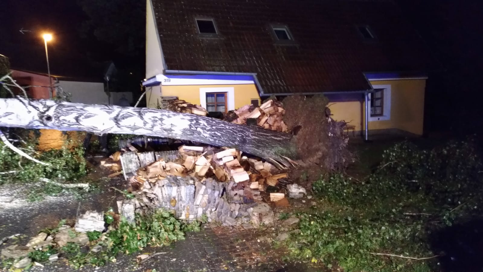 Spadlý strom, Týn nad Vltavou - 23. 9. 2018 (9).jpg