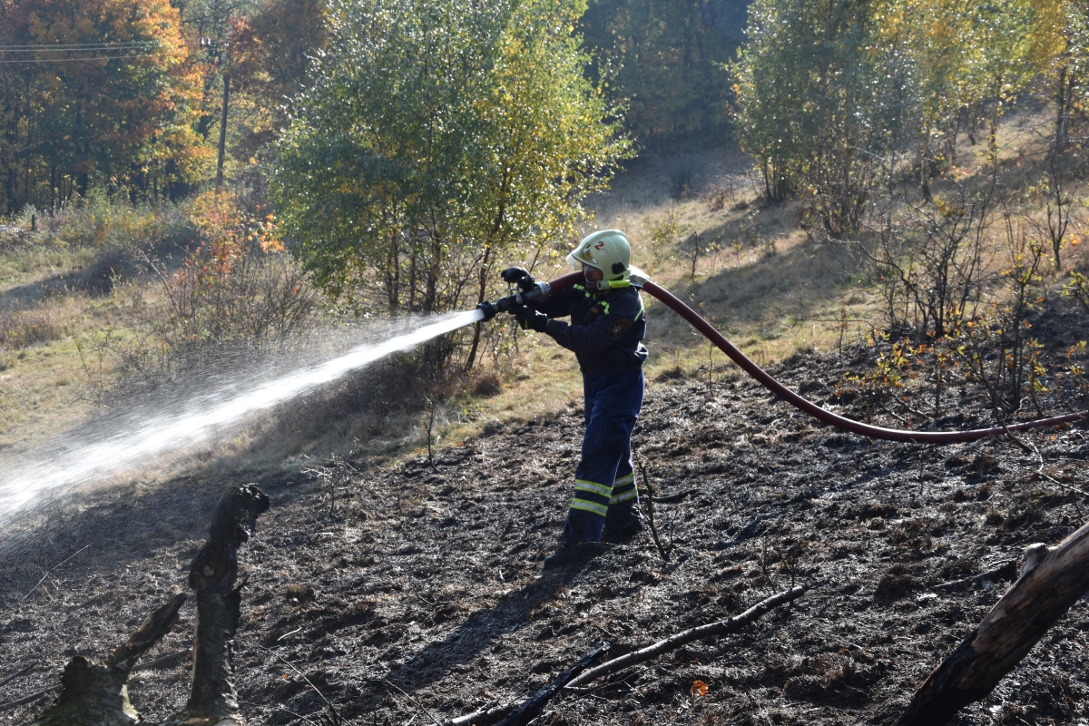 Požár lesního porostu Petrovice (3).JPG