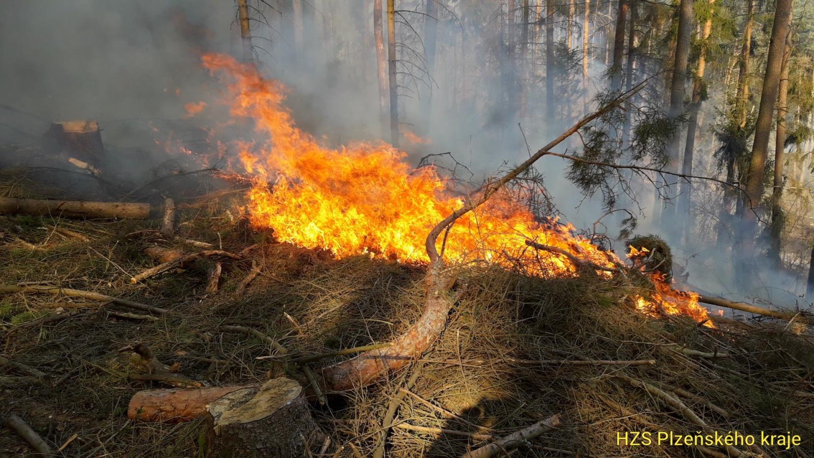 31_3_2019 požár les Čímice Podmokly (3).jpg