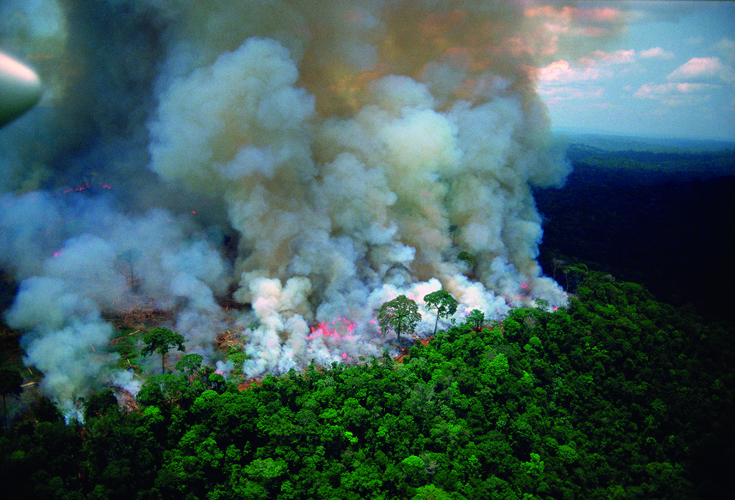 Požáry v Amazonii. Zdroj Stock Connection Blue Alamy Stock