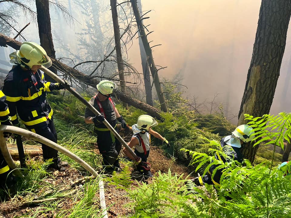 Obrovský požár likvidují hasiči v Hřensku. Kouř se valí téměř přes celou republiku.