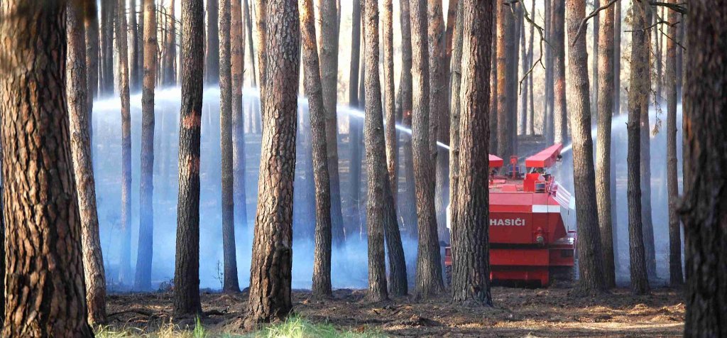 Požár lesa u Bzence - FOTO Janotová Irena v.jpg